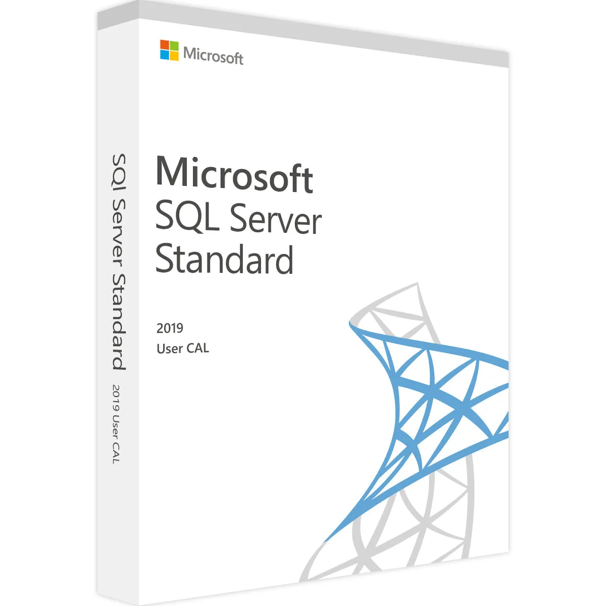Microsoft SQL Server 2019 - 25 User CALs - Lizenz - Auditsicher - Sofort-Download | Software-Dealz.de